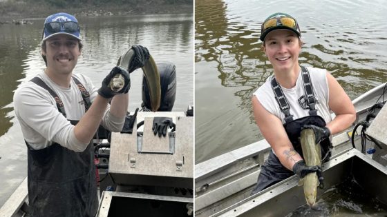 Ocean-born fish seen swimming in Kansas River for first time in a decade: ‘Fascinating species’ – MASHAHER