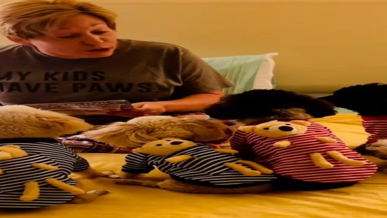 WATCH: 6 dogs adorably listen intently to mom as she reads them a bedtime story – MASHAHER