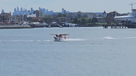 Seaplane Plows Into Boat During Takeoff Before Immediately Splashing Down – MASHAHER