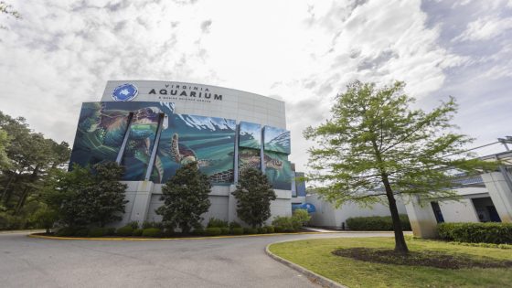 Public left out of talks about future of Virginia Aquarium, Virginia Beach council member says – MASHAHER