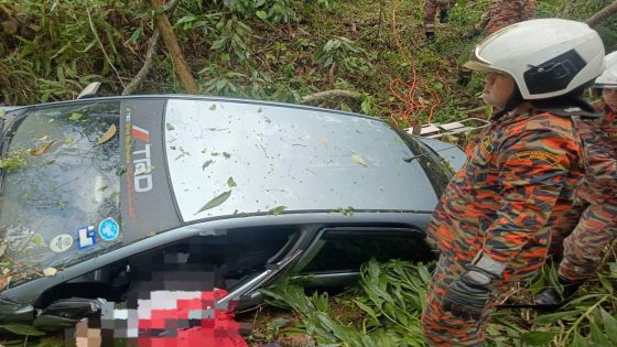 Man killed as car plunges into ravine in Kulai – MASHAHER