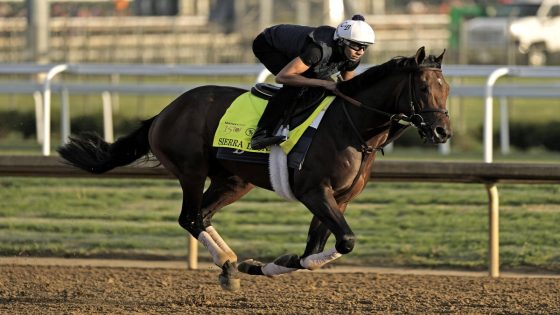 How to watch the 2024 Belmont Stakes race: Start time, channel, odds, where to stream and more – MASHAHER