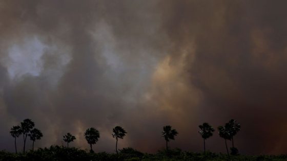 Fires in Brazil wetlands surge to record start in 2024 – MASHAHER