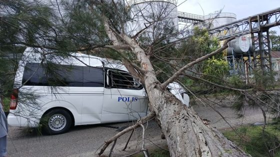 Falling tree kills cop in Lahad Datu – MASHAHER