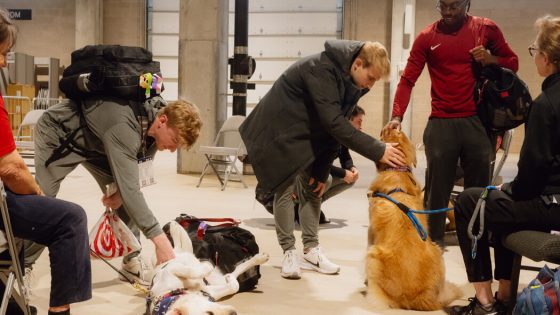 U.S.A. Gymnastics Uses Therapy Dogs at Olympic Trials to Help Athletes’ Mental Health – MASHAHER