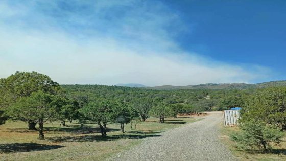 Firefighters continue extinguishing the Blue 2 Fire near Ruidoso – MASHAHER