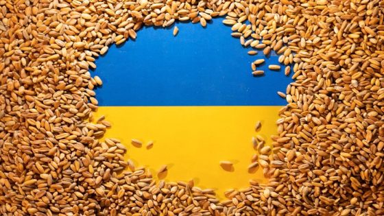 Minimum price mechanism for Ukrainian food exports to start in August, official says – MASHAHER