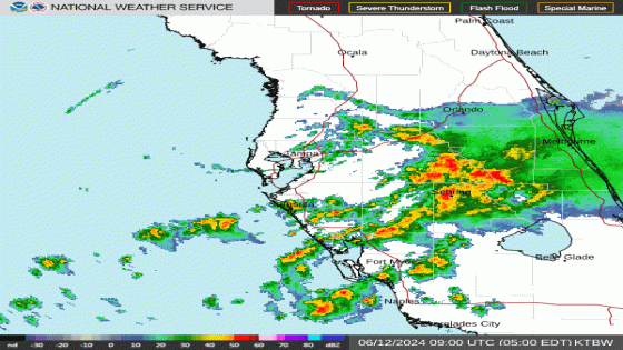 Monitoring the Florida rain swamping Collier County, SWFL. What to know – MASHAHER