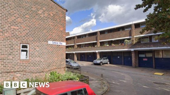 Two men arrested after man stabbed to death in Deptford – MASHAHER