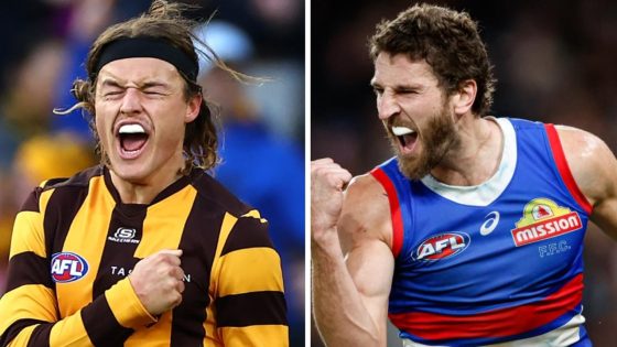 David King says Western Bulldogs and Hawthorn Hawks are scariest teams to play right now, strengths, analysis, how they’ve turned around their seasons, reactions, latest news – MASHAHER