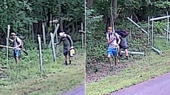 Police searching for 2 accused of damaging over 60 trees along Upper Merion trail – MASHAHER