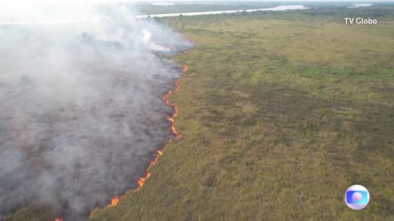 Fires in Brazil wetlands surge as drought looms – MASHAHER