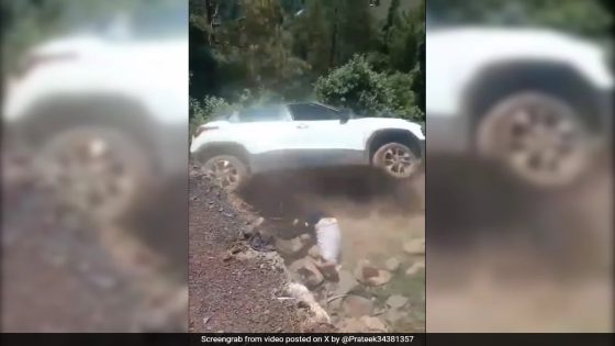 Video Shows Driver Survives Near-Death Experience As Tata Punch Falls Off Cliff – MASHAHER