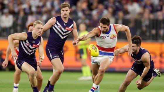 AFL tips Round 14 2024 – MASHAHER