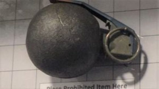 Man stopped for trying to bring grenade onto flight at Pittsburgh International Airport – MASHAHER