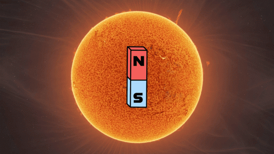 The sun’s magnetic field is about to flip. Here’s what to expect. – MASHAHER