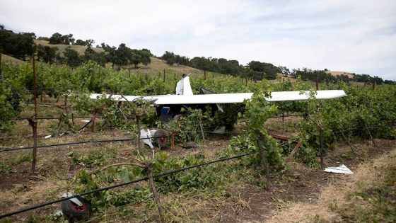 Small plane crashes in vineyard at SLO County winery – MASHAHER