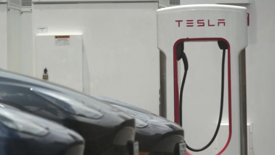 Tesla is biggest market bubble in world history: Short seller – MASHAHER