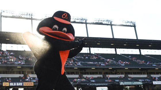 Orioles fan vies for MLB catch of the year with drink, phone, baby stroller in tow – MASHAHER