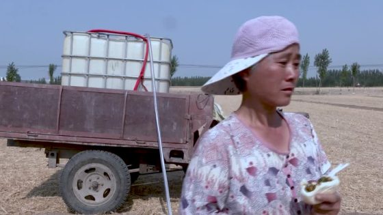 Barren fields bring Chinese farmer to tears from drought – MASHAHER