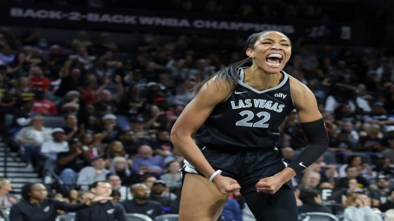 Nike reveals A’ja Wilson’s new signature logo ahead of shoe release – MASHAHER