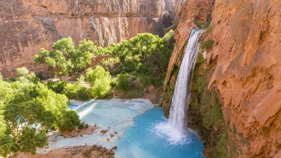 Dozens of hikers sickened after visiting Grand Canyon’s Havasupai Falls – MASHAHER