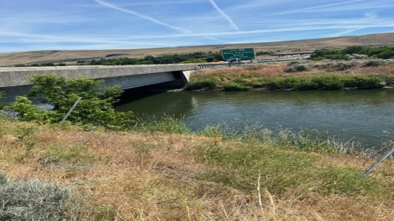 Alleged DUI driver ended up underwater in canal after fleeing police near Prosser – MASHAHER