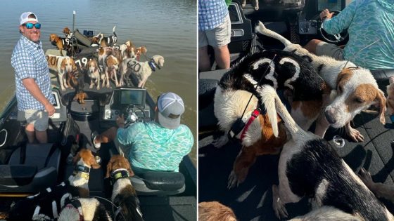 Fishermen in Mississippi pull off dramatic rescue of 38 dogs treading water – MASHAHER