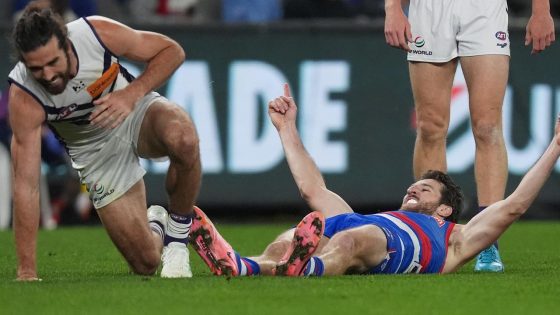 David King slams Fremantle Dockers for not tagging Marcus Bontempelli, loss to Western Bulldogs, First Crack, video, highlights, latest news – MASHAHER