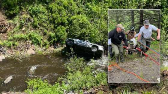 Loyal dog saves camper’s life after running miles for help: ‘No words’ – MASHAHER