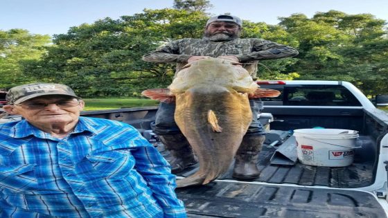 Man catches ‘massive’ 95-pound flathead catfish in Oklahoma reservoir: See the catch – MASHAHER