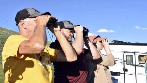 Yellowstone visitors hope to catch a glimpse of rare white buffalo – MASHAHER