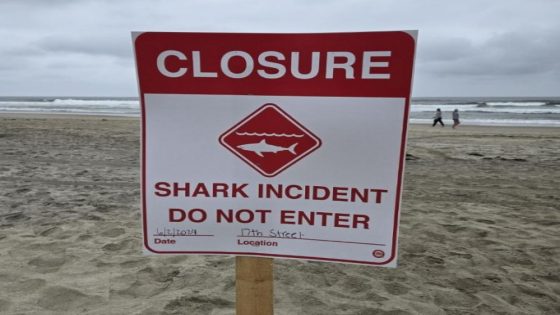 Shark attack prompts beach closure in Del Mar – MASHAHER