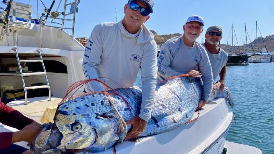 Anglers ‘snatch’ mysterious sea creature from jaws of sharks – MASHAHER