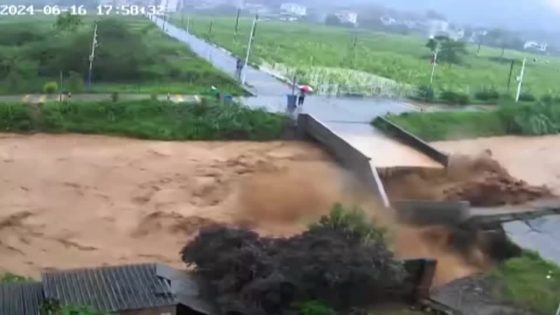 Person narrowly escapes bridge collapse in flood-hit China – MASHAHER