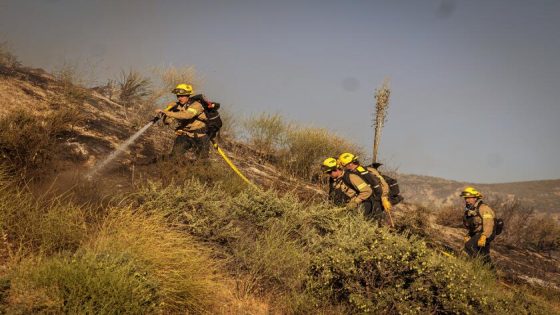 California wildfires grow amid warm temperatures, gusty winds – MASHAHER