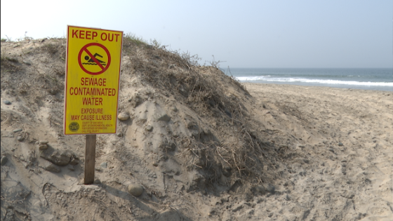 Swimming in waters at these San Diego County beaches could mean illness – MASHAHER