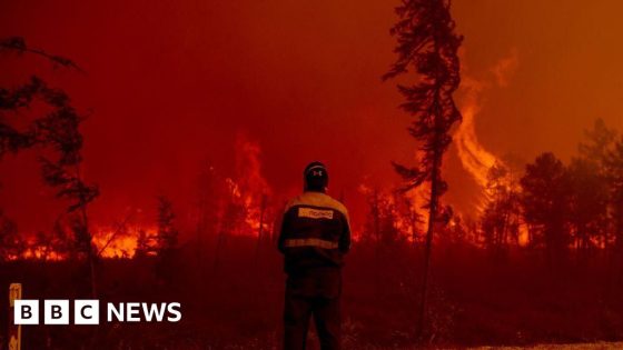 Arctic wildfires ravage region, EU climate service says – MASHAHER