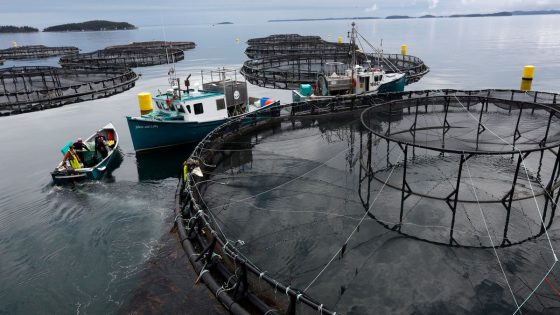 Salmon-Farming Giant Faces Billion-Dollar Lawsuit – MASHAHER