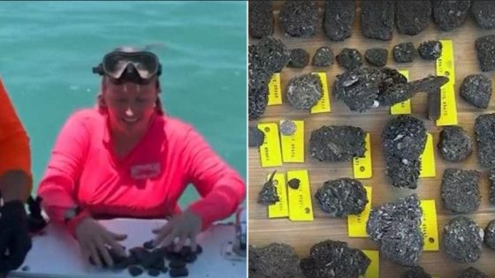 Florida treasure hunters amazed by discovery in 300-year-old shipwrecks: ‘You don’t expect that’ – MASHAHER