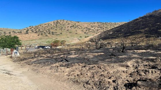 Boise man charged with arson, suspected of starting fire that closed down Polecat trails – MASHAHER