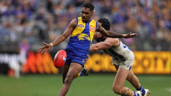 West Coast Eagles believe Liam Ryan and Jack Petruccelle’s speed could be crucial to midfield wins – MASHAHER