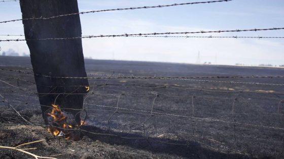 California grass fires may indicate severe wildfire season this summer, experts warn – MASHAHER