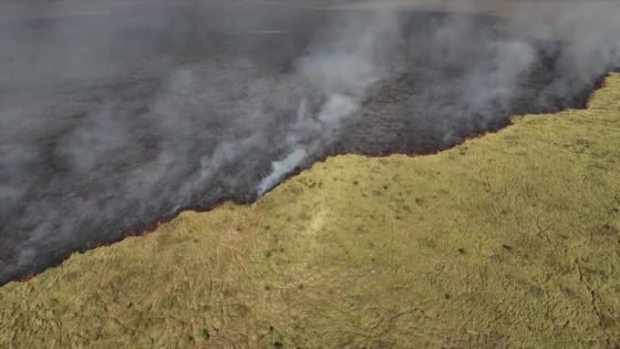 The largest wetlands in the world are on fire – MASHAHER