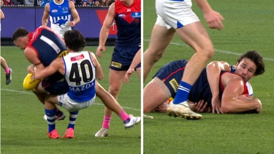 Steven May staging in Eddie Ford dangerous tackle, free kick, holding the ball, reaction, Melbourne Demons vs North Melbourne Kangaroos – MASHAHER