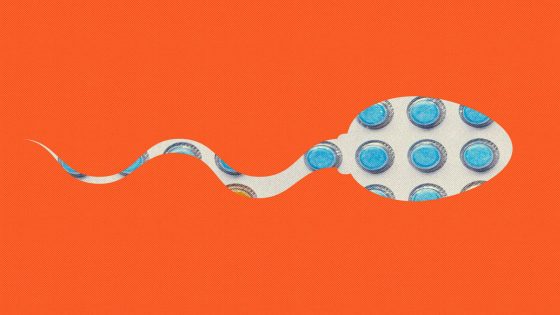 Male birth control gel is safe and effective, new trial findings show – MASHAHER