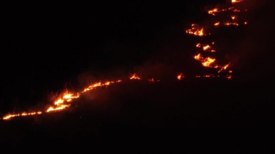 Raging fires in Brazil wetlands surge 980 percent – MASHAHER