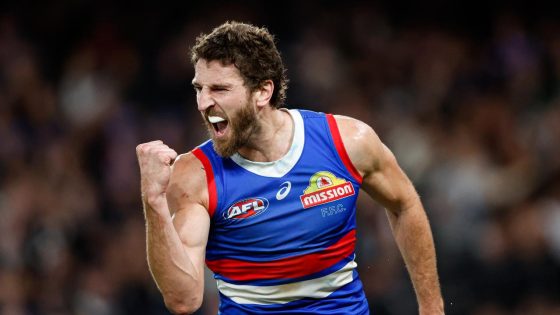 David King claims Western Bulldogs are legitimate finals contender, top eight chances, fixture analysis, Adam Treloar, Luke Beveridge, AFL 360 comments, latest news – MASHAHER