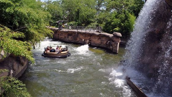 Watch riders jump off Six Flags raft ride into water after attraction gets stuck: ‘Rough day’ – MASHAHER