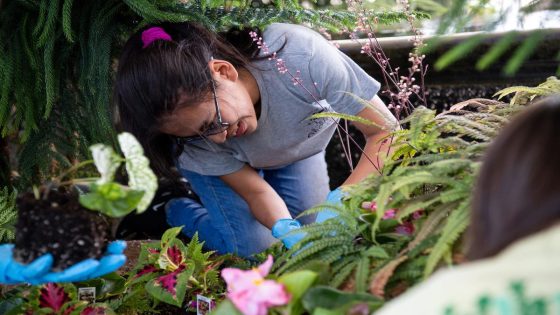 Meet the group bringing summer beauty to McGhee Tyson Airport, and fresh herbs to Potchke – MASHAHER